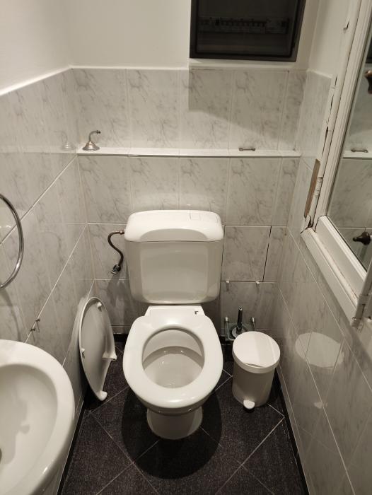 toilet