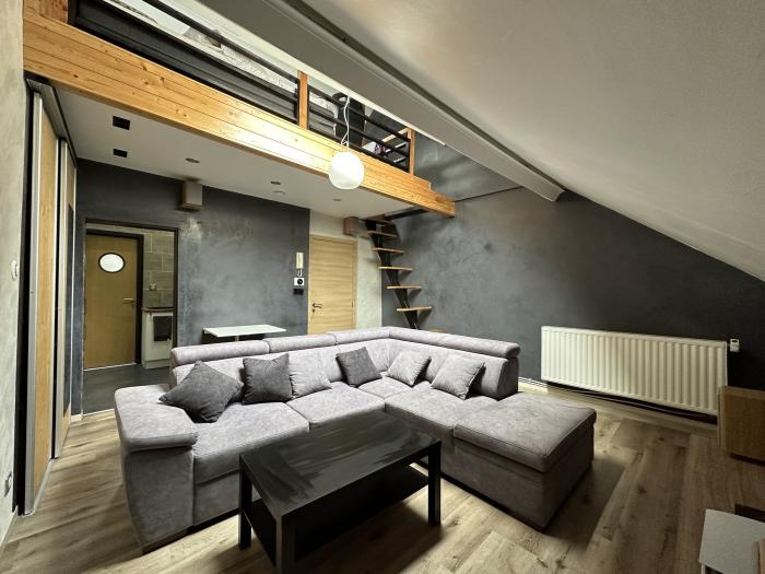 Apartment 40 m² in Brussels center