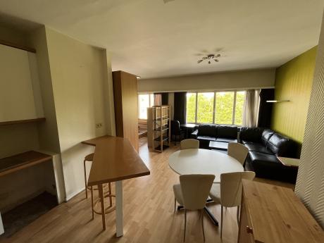 Studio 45 m² in Brussel Elsene : kerkhof