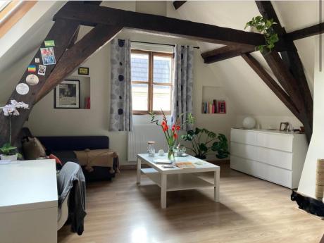 Studio 26 m² in Brussel centrum