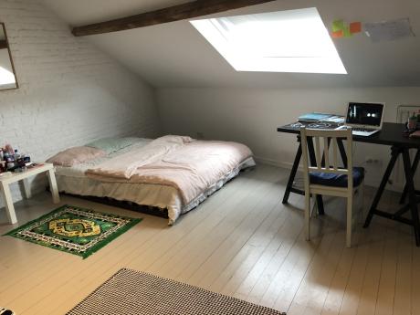 Student room 250 m² in Brussels Anderlecht
